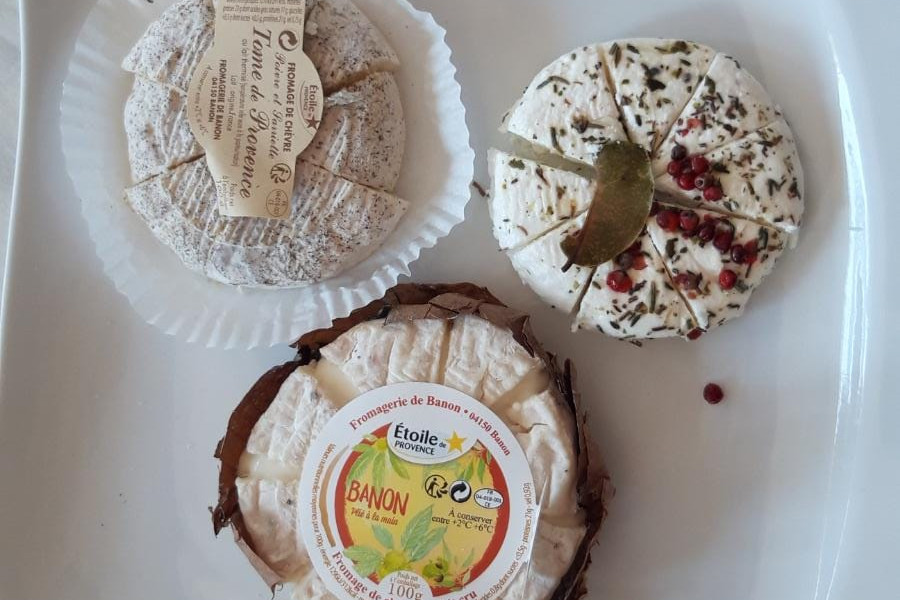 Students on fieldtrip in Luberon Goat cheese tasting